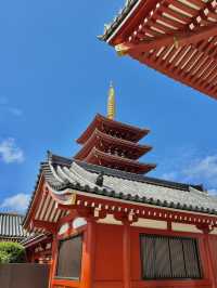 도쿄의 전통미를 가장 잘 느낄 수 있는 곳, 아사쿠사 센소지❤️