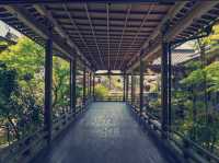 Solo in a Kyoto Secret: The Serene Tenjoji Temple