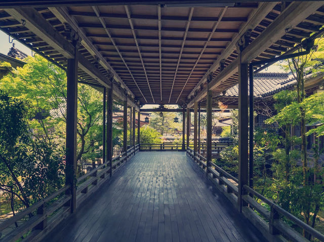 Solo in a Kyoto Secret: The Serene Tenjoji Temple Solo in a Kyoto Secret: The Serene Tenjoji Temple