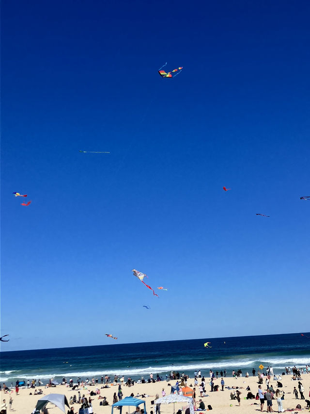 【オーストラリア・シドニー】海風と光に包まれる「マンリービーチ散歩」🚶♀️🌊☀️ 【オーストラリア・シドニー】海風と光に包まれる「マンリービーチ散歩」🚶♀️🌊☀️