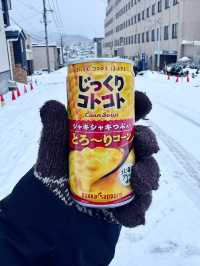 โ๏ธ๐๏ธ ์คํ๋ฃจ ๊ฒจ์ธ์ฌํ ๊ฐ์ด๋ (Otaru Winter Trip)