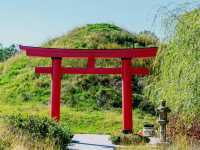 The Soloist's Urban Oasis: A Stroll Through Lauritzen Gardens