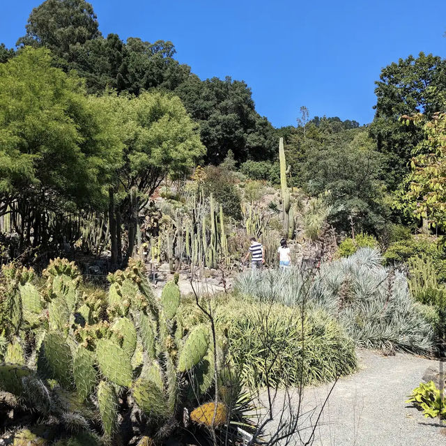 University of California Botanical Garden