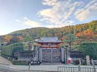 ✨️勝尾寺達摩寺⛩️大阪必去打卡好去處介紹📸💕