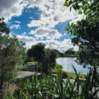 เที่ยว Butterfly Creek มุมธรรมชาติในโอ๊คแลนด์