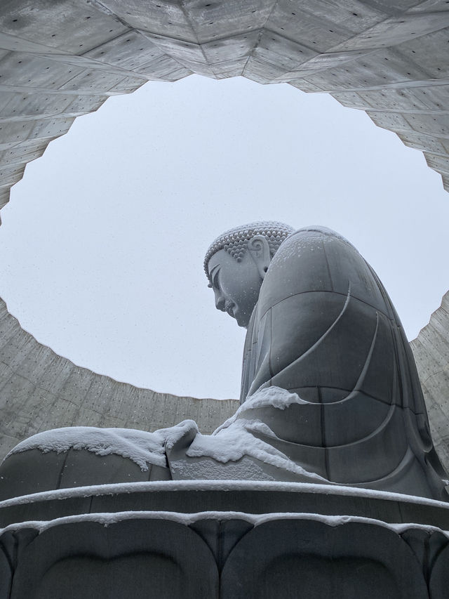 【北海道｜札幌近郊冬季限定】湯咖哩暖胃→雪中頭大佛＋復活島摩艾→白之戀人公園夜燈全亮，完美一天