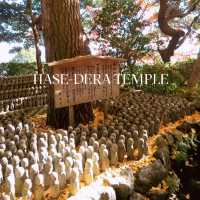 🌸 รีวิว: วัดฮาเซะ-เดระ (Hase-dera Temple) 