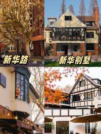 8 Must-Stroll Routes in Shanghai This November🍁 – Miss It, Wait a Year! ✨