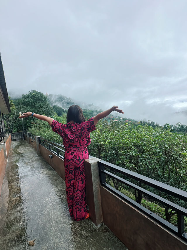 เที่ยวดอยแม่สองเชียงรายกันคะ