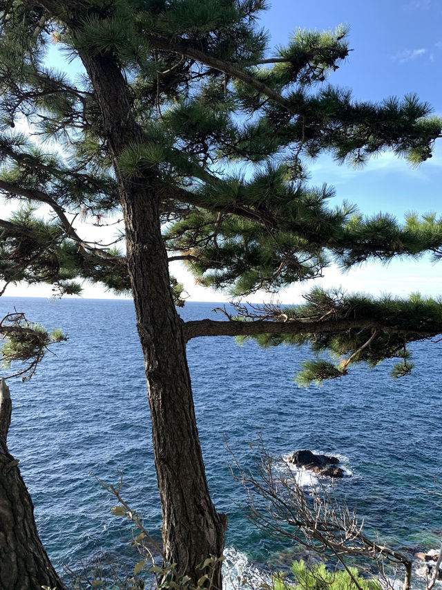 Seaside Christmas🎄 Seaside Christmas🎄