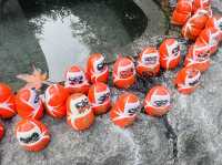 勝尾寺 応頂山 勝尾寺