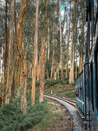 คูนูร์ 🇮🇳-1