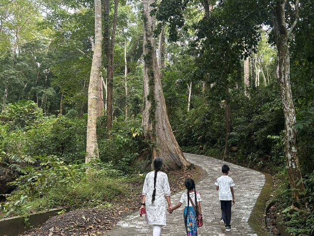 アンダマン・ニコバル諸島のおすすめ観光スポット2026年（1月更新