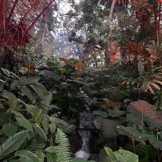 โครงการอีเดน