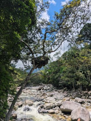 อุทยานแห่งชาติเดนทรี