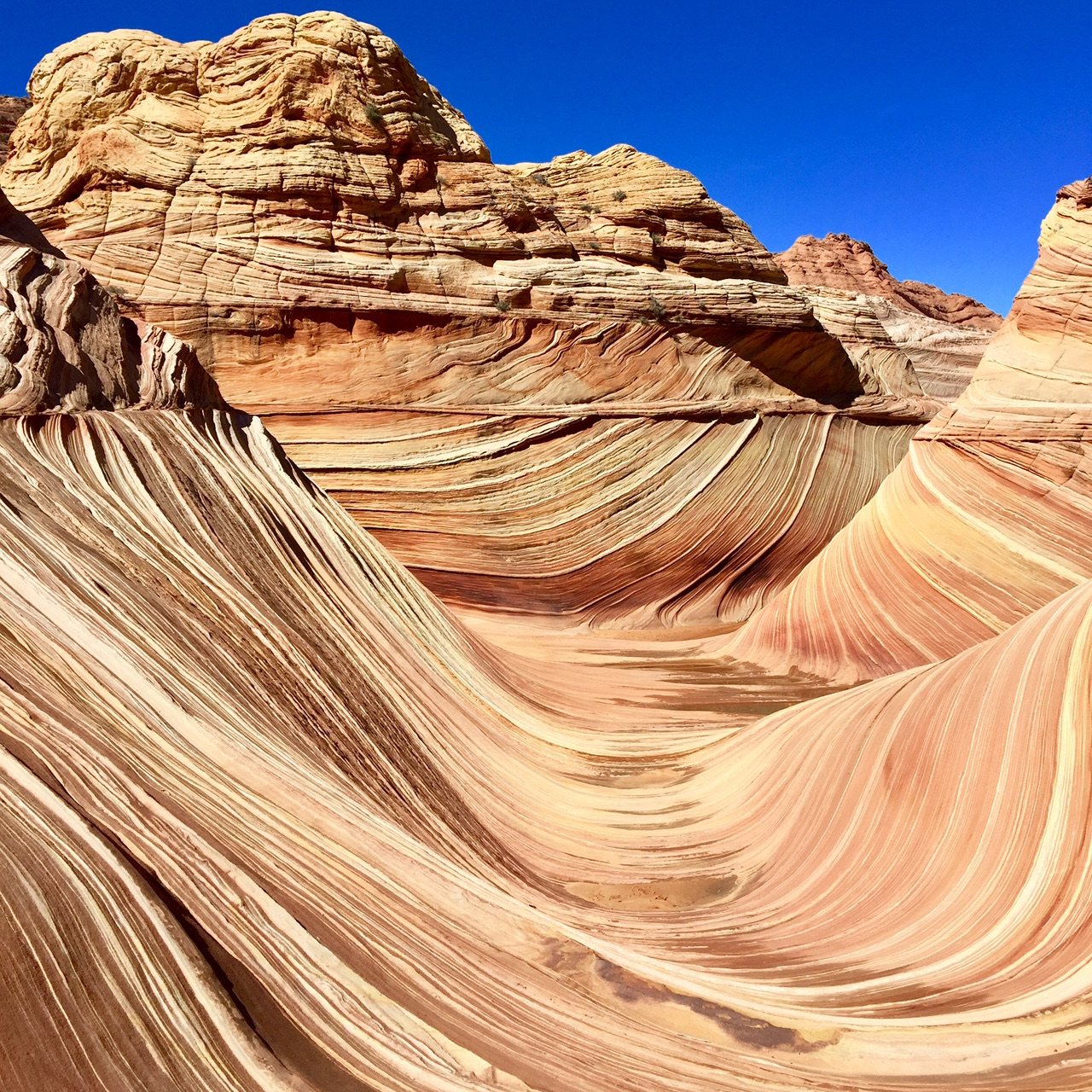 【美國 攻略 2026】Coconino County Trip.com 精選 — 港人實用指南 Coconino County - Nature's Wave in Arizona. - 圖 2