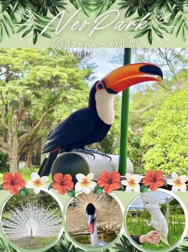 沖縄旅🇯🇵ネオパークオキナワを知ってる❓ | Trip.com 名護