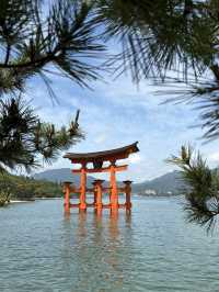 JR Kansai–Hiroshima Area Pass คุ้มไหม?