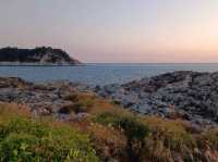 สัมผัสธรรมชาติรอบตัวและชมนกนานาพันธุ์@Saeseom Island,Jeju Isliand