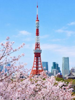 日本櫻花季，2000年馬幣以下超值優惠！旺季省錢之選🎒🌸