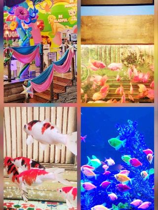 พิพิธภัณฑ์สัตว์น้ำที่หลายคนมองข้าม