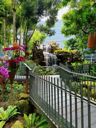 A Rainforest Escape Before Your Flight at KLIA