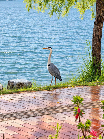 Fukuoka laid back | Trip.com Fukuoka