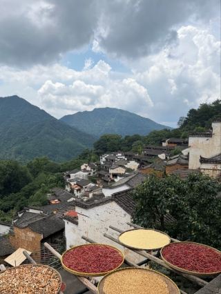 篁嶺讓我覺得過於商業化的地方