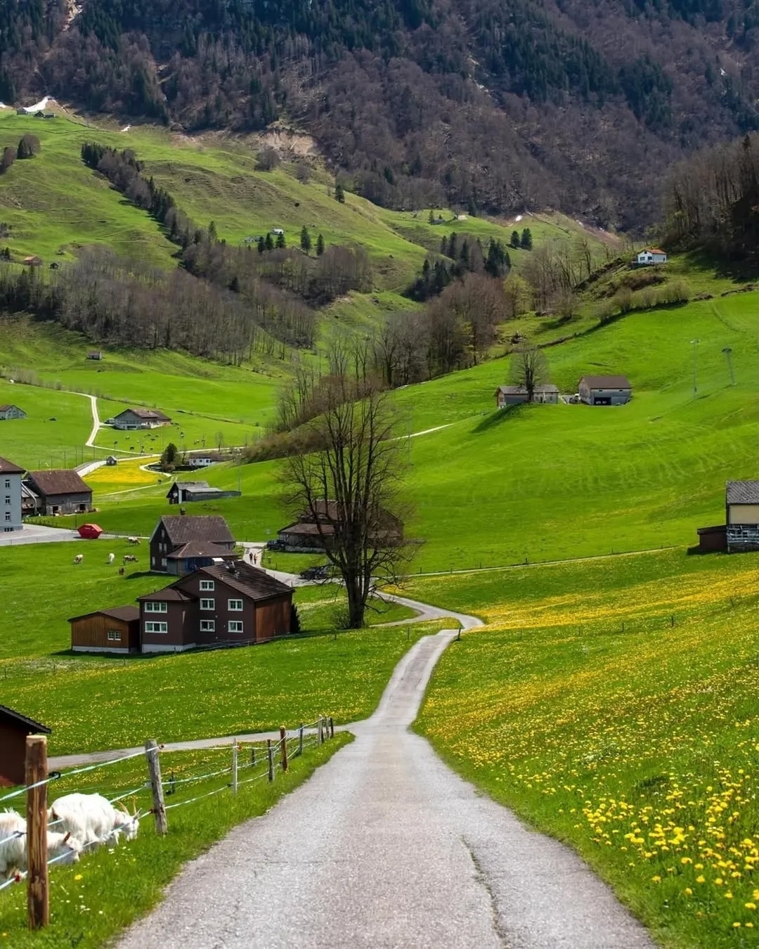 Alpine Valleys & Cliffside Wonders (Best for Nature & Travel Focus)
