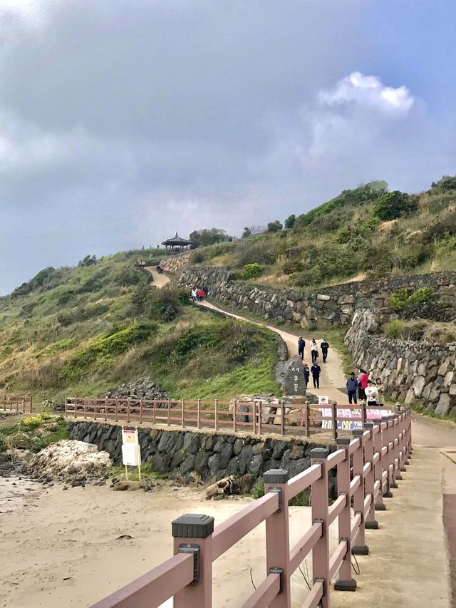 제주에서 행복만땅 충전! 서우봉⛰️🩵