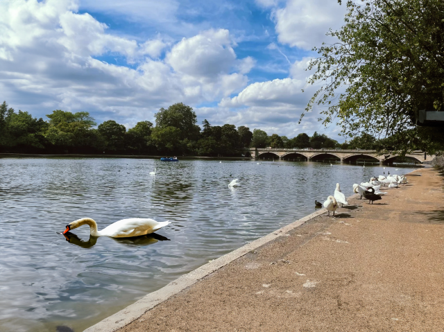 倫敦海德公園 Hyde Park