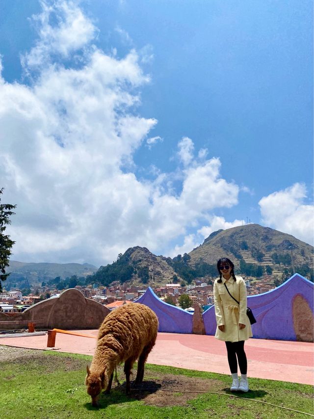 티티카카 호텔 추천❤️