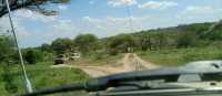 Amazing Trip