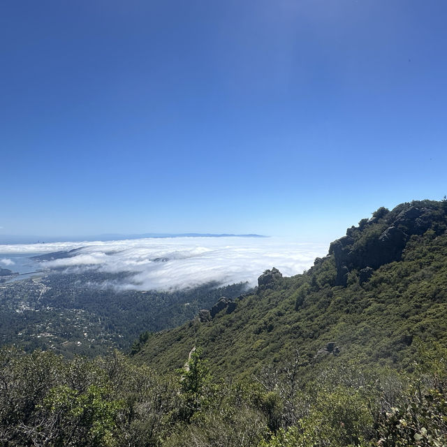 San Francisco over the cloud