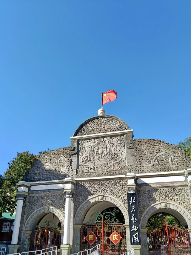 與自然的溫柔邂逅——北京動物園漫遊記