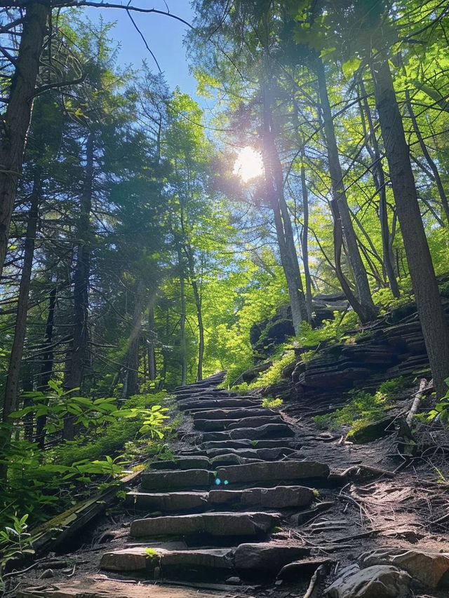 海上仙山：崂山的壯麗與靈氣
