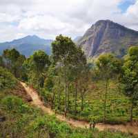 Must visit in Sri Lanka 