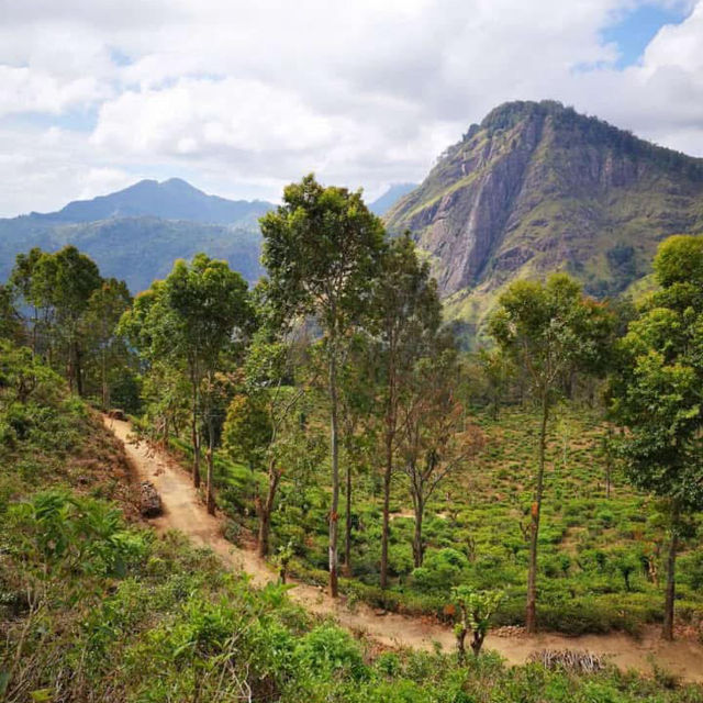 Must visit in Sri Lanka 