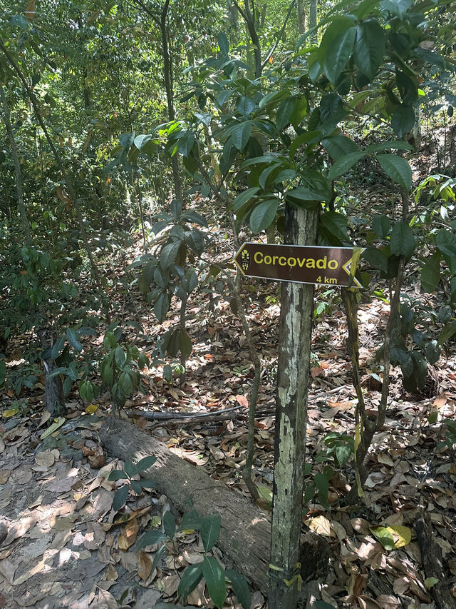 Track Corcovado, Christ Redeemer