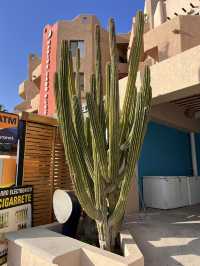 San Jose del Cabo 6 Days Itinerary