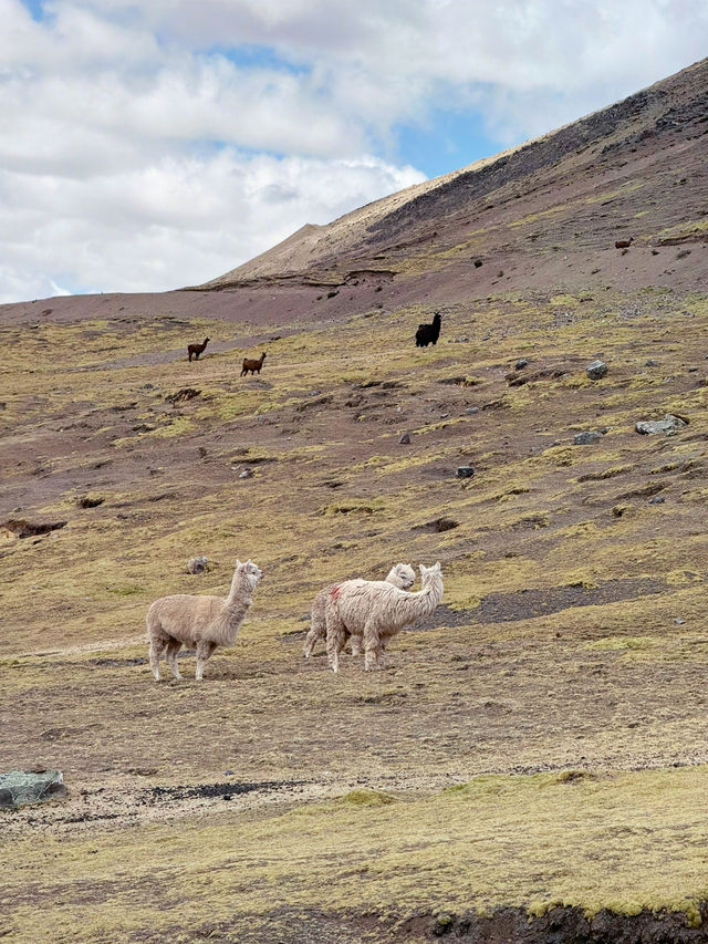 🇵🇪ペルー｜レインボーマウンテン&レッドバレー🌈⛰️