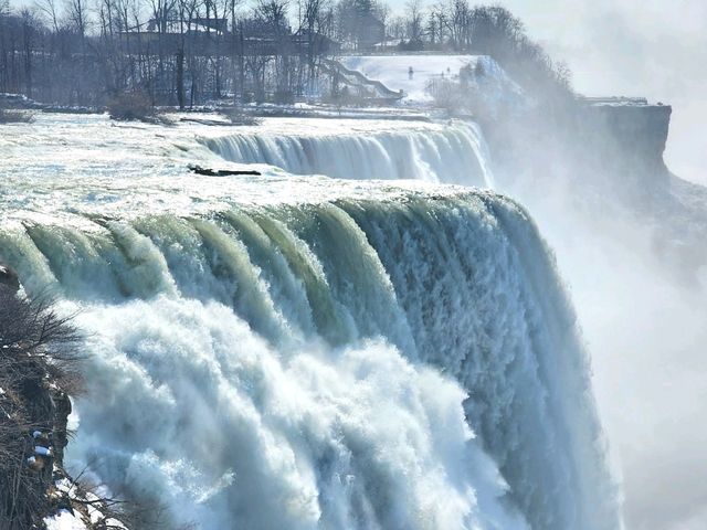 ✨ Buffalo水牛城 一日快閃 ✨
