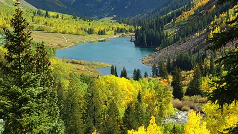 🇺🇸 Colorado | Golden Autumn Breeze — traveler post in Denver