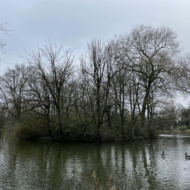 City park in Leicester : Abbey Park 🌳