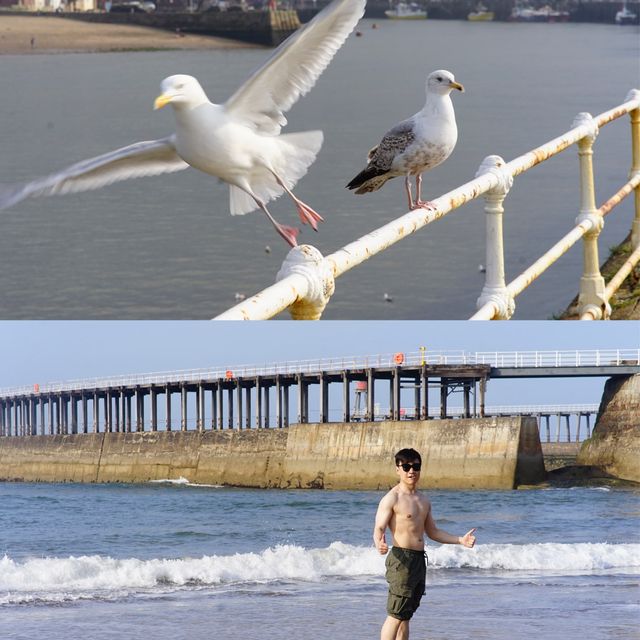 英国绝美海滨小镇惠特比Whitby 