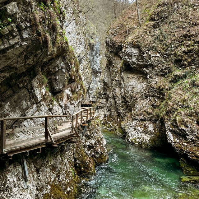 Gorge walking near lake bled