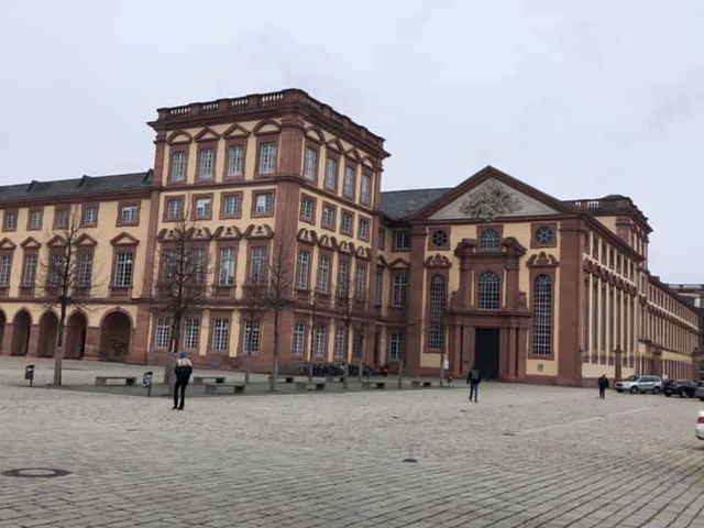 Mannheim Baroque Palace 🏰🇩🇪