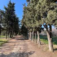 Nature lover, don’t miss this!