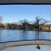 Paddle boats tour in Shinobazu Pond (Tokyo)