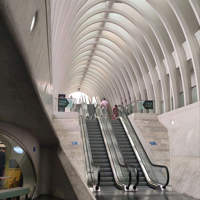 Calatrava’s Masterpiece in Liege